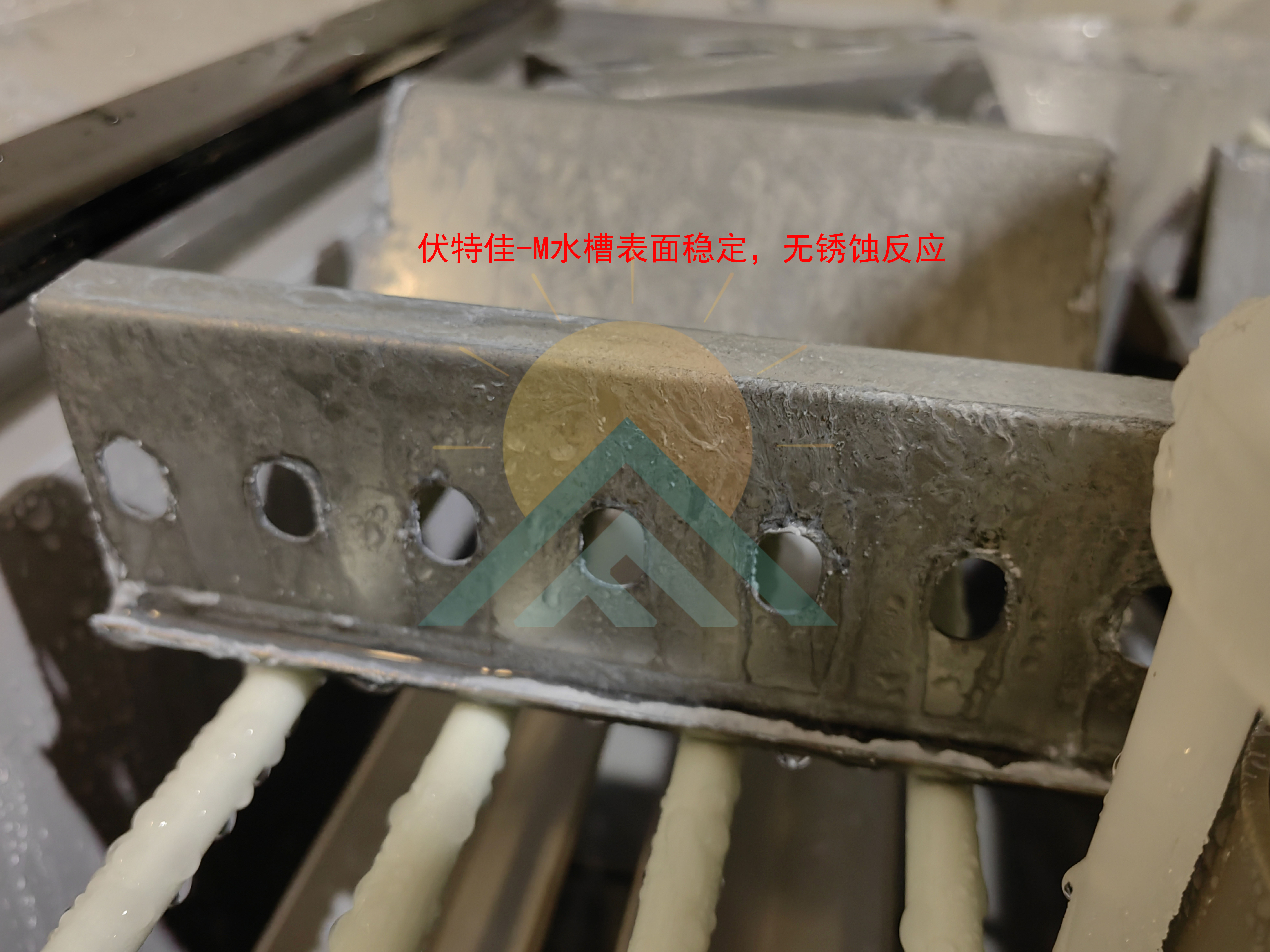 1688975299144925.jpg 1688975299144925.jpg