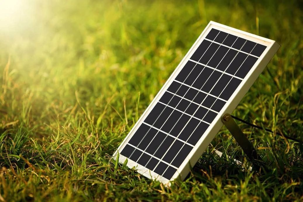 1689129196707946.jpg 1689129196707946.jpg